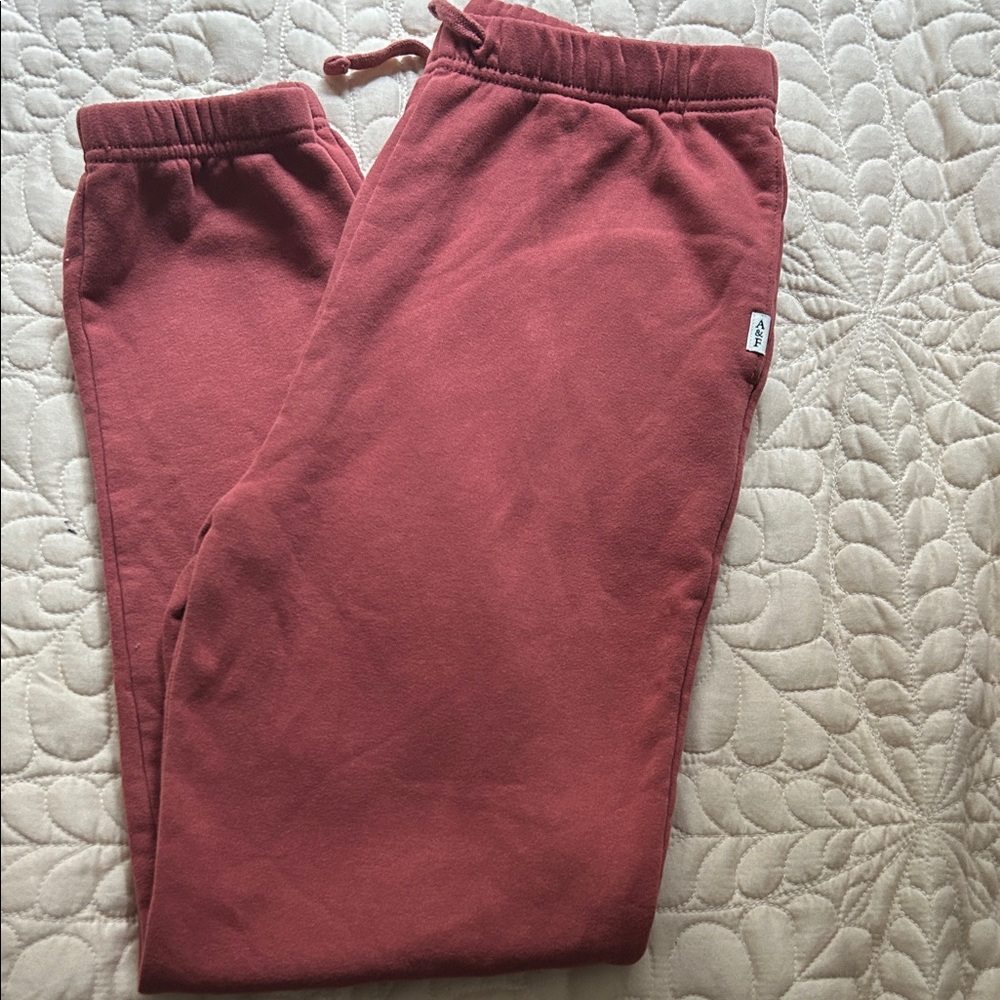 Abercrombie & Fitch Kids Sweatpants in Brick Red